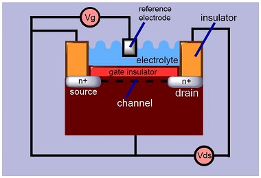 transitor,ترانزیستور اثر میدانی حساس به یون،ISFET 